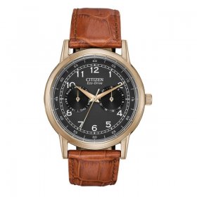 Citizen Men's AO9003-08E Brown Leather Japanese Quartz Dress Watch