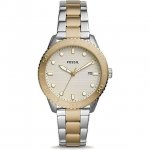 Fossil BQ3597 Dayle Three-Hand Date Two-Tone Stainless Steel Watch