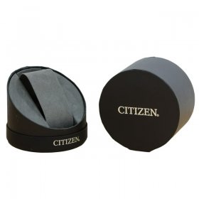 Citizen Axiom Eco-Drive Movement Black Dial Men's Watch AU1062-05E