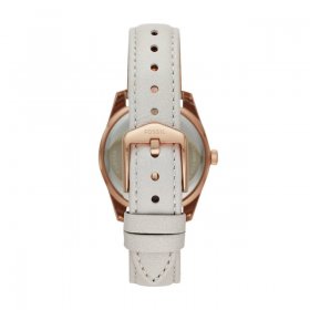 Fossil Ladies' Scarlette Mini Three-Hand Date Mineral Gray Leather Watch (ES4556)